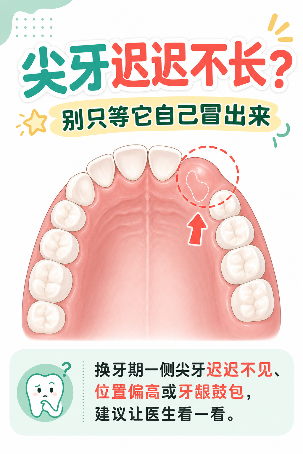尖牙迟迟不长,是埋伏牙吗?